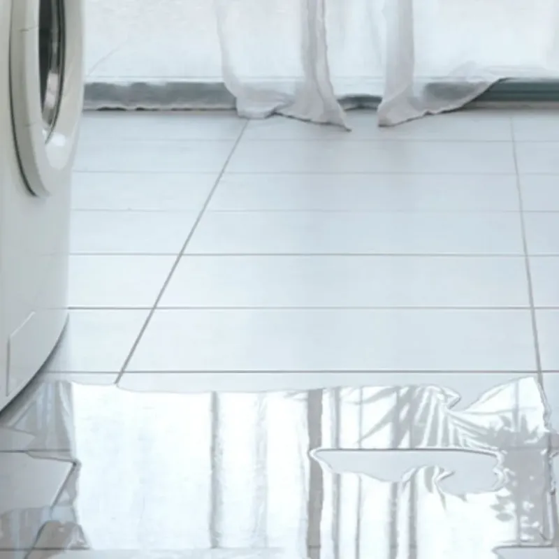 Appliance Leak Cleanup in Delafield, WI