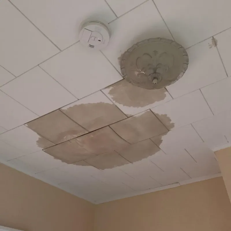 Ceiling Water Damage Repair in Delafield, WI